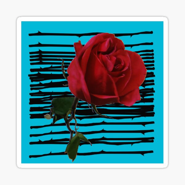 Red Rose x Blue Background Sticker