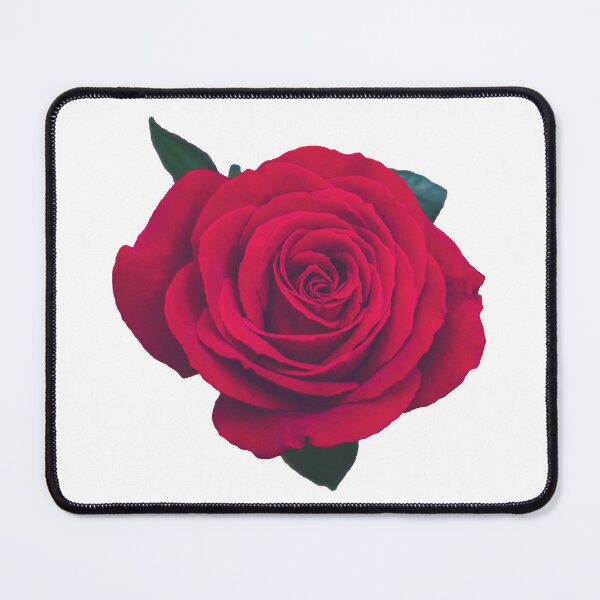 Item preview, Red Rose designed and sold by hazemm7.