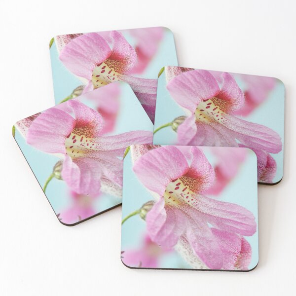 Item preview, Rehmannia elata AGM dedalera china designed and sold by Chris Burrows.