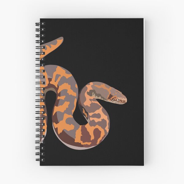 Item preview, S is for Sand Boa,Sand Boa – Burrowing Desert Snake Wildlife Illustration designed and sold by PrettylittlepastelUk.