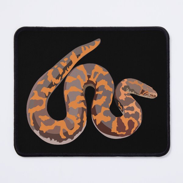 Item preview, S is for Sand Boa,Sand Boa – Burrowing Desert Snake Wildlife Illustration designed and sold by PrettylittlepastelUk.