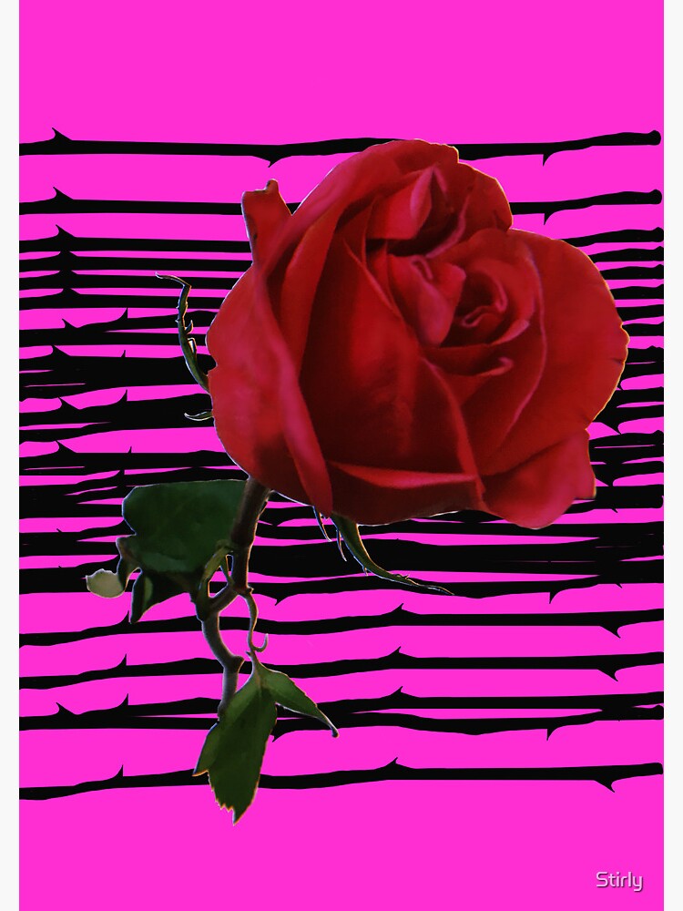 Thumbnail 3 of 3, Journal, Rose x Magenta Background designed and sold by Stirly.