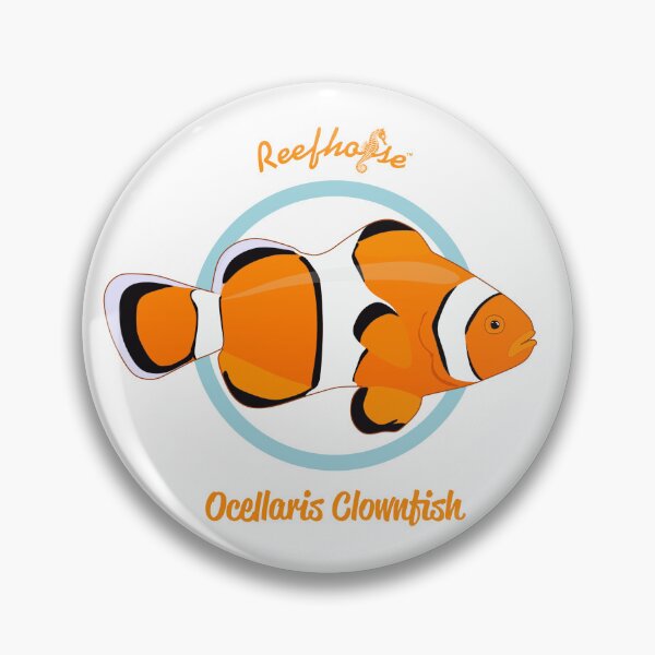 Item preview, Ocellaris Clownfish designed and sold by KaplanCrypto.