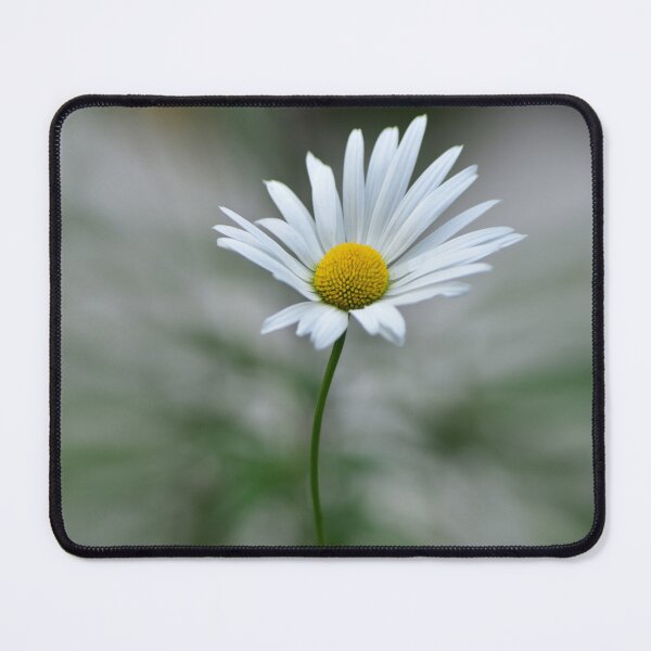 Item preview, One Daisy designed and sold by DonnaMariePhoto.