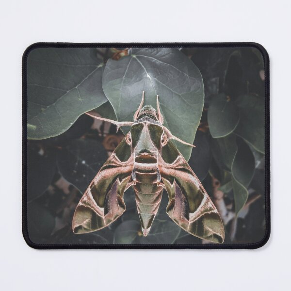 Item preview, Oleander Hawk Moth designed and sold by Chigurena.