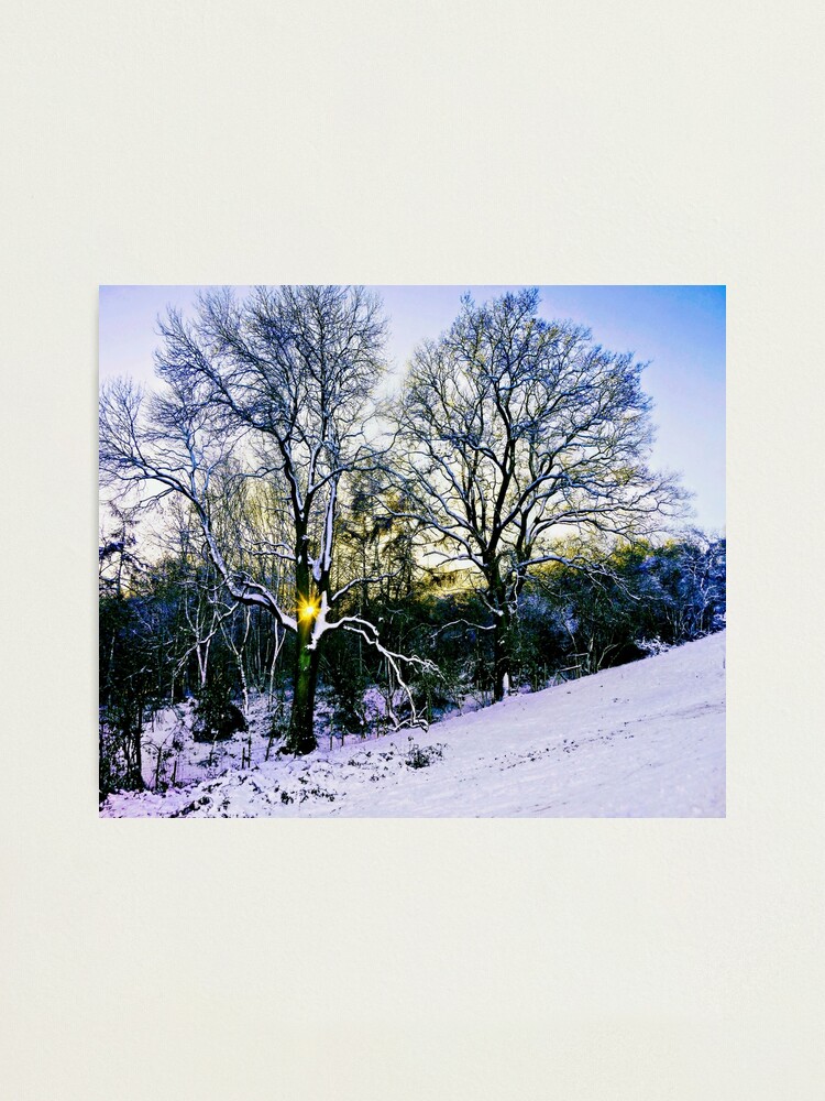Alternate view of Winter Sunlight Photographic Print