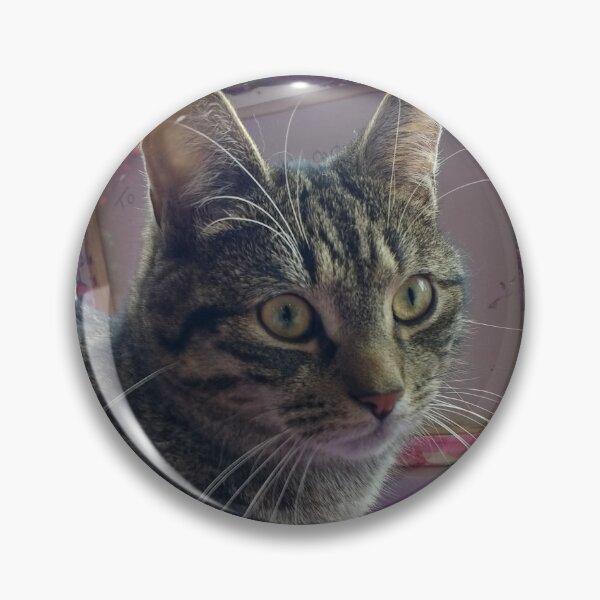 Item preview, #301 |☼| Tabby Cat: Portrait Shot - Catisfaction Cat Café (Cats) designed and sold by Naean H.F. (Nez Man).