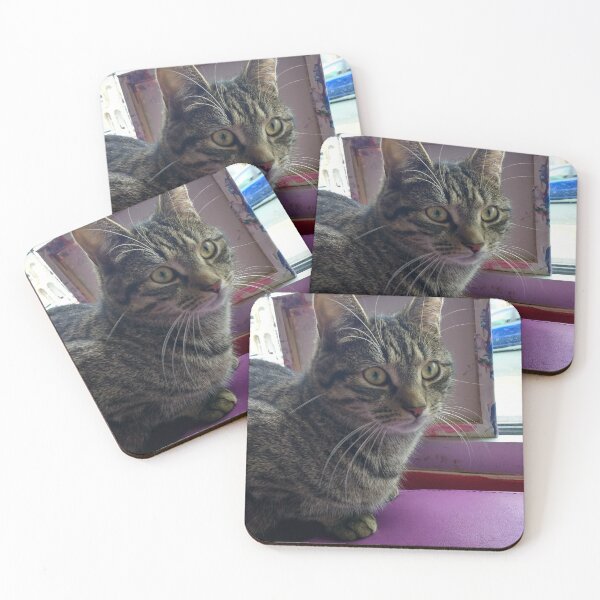 Item preview, #301 |☼| Tabby Cat: Portrait Shot - Catisfaction Cat Café (Cats) designed and sold by Naean H.F. (Nez Man).
