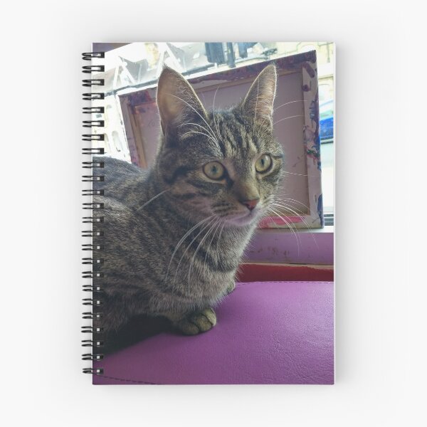 Item preview, #301 |☼| Tabby Cat: Portrait Shot - Catisfaction Cat Café (Cats) designed and sold by Naean H.F. (Nez Man).