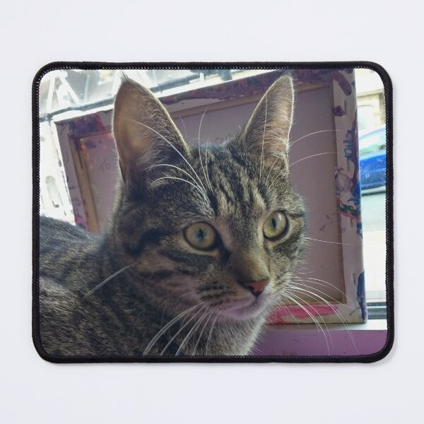 Item preview, #301 |☼| Tabby Cat: Portrait Shot - Catisfaction Cat Café (Cats) designed and sold by Naean H.F. (Nez Man).
