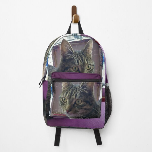 Item preview, #301 |☼| Tabby Cat: Portrait Shot - Catisfaction Cat Café (Cats) designed and sold by Naean H.F. (Nez Man).