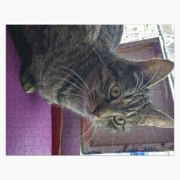 #301 |☼| Tabby Cat: Portrait Shot - Catisfaction Cat Café (Cats) Jigsaw Puzzle