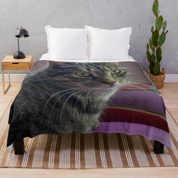 Item preview, #301 |☼| Tabby Cat: Portrait Shot - Catisfaction Cat Café (Cats) designed and sold by Naean H.F. (Nez Man).