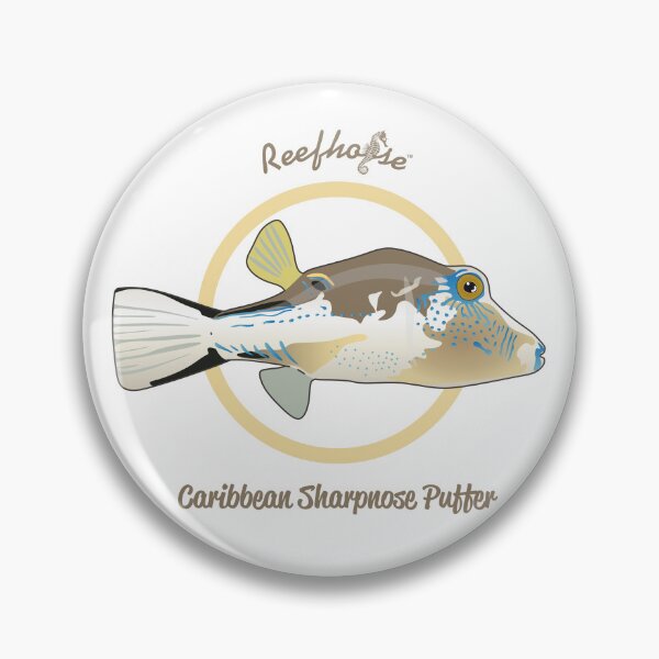 Artikelvorschau, Karibischer Spitznasen-Kugelfisch entworfen und verkauft von KaplanCrypto.