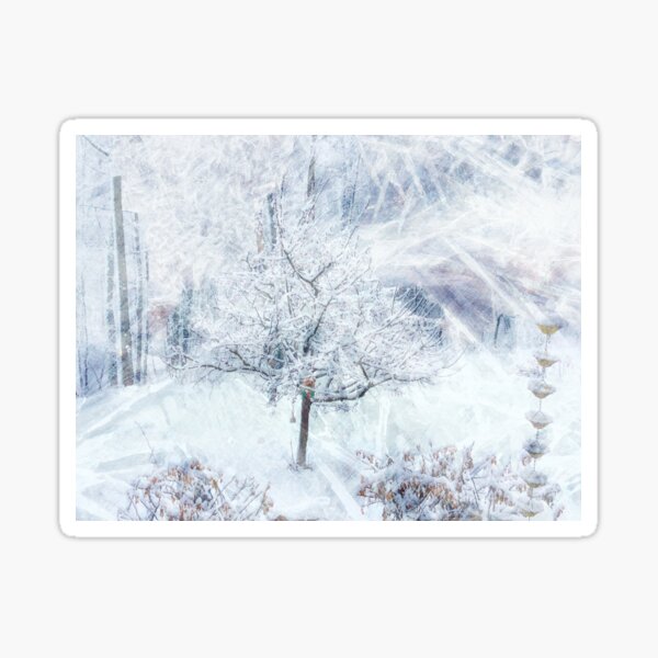 Winter Hues Sticker