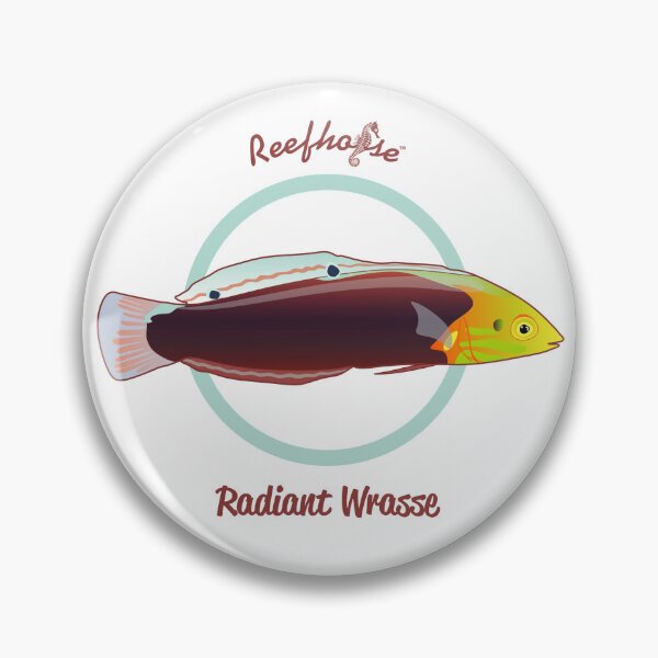 Item preview, Radiant Wrasse designed and sold by KaplanCrypto.