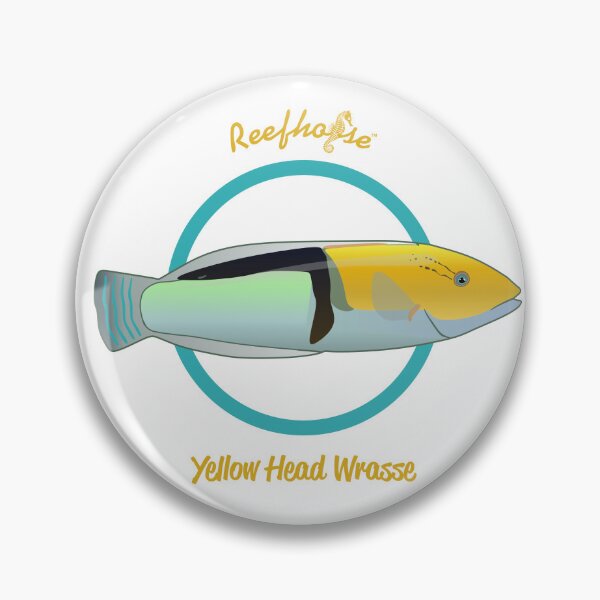 Item preview, Yellow Head Wrasse designed and sold by KaplanCrypto.