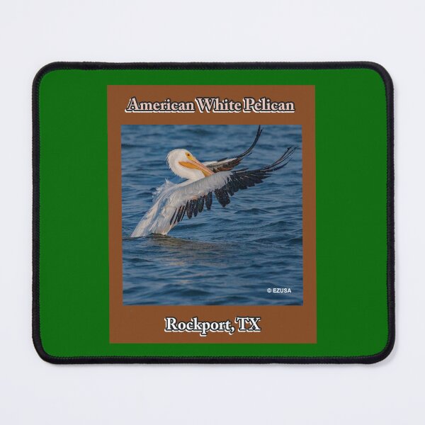 Item preview, For The Bird Lover In You. American White Pelican from Rockport, Texas, Birding Rockport, Visit Rockport designed and sold by MoreEZUSA-Here.