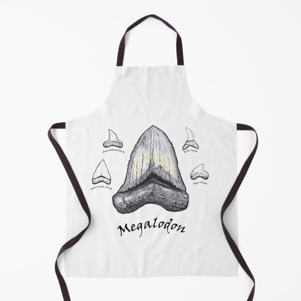 Item preview, Megalodon and other sharks: tooth size comparison designed and sold by wademcmillan.
