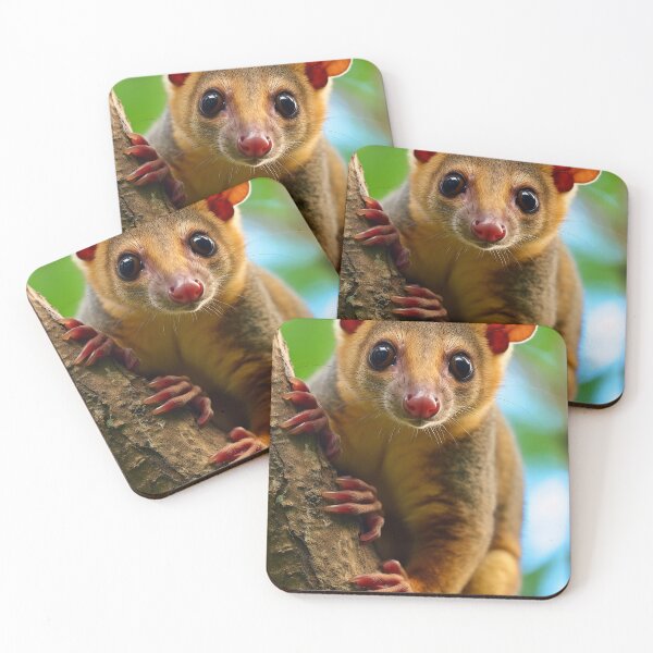 Item preview, Kinkajou designed and sold by DigitizedArt.