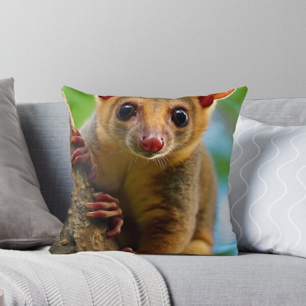 Item preview, Kinkajou designed and sold by DigitizedArt.