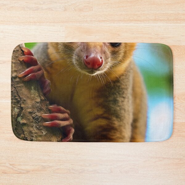 Item preview, Kinkajou designed and sold by DigitizedArt.