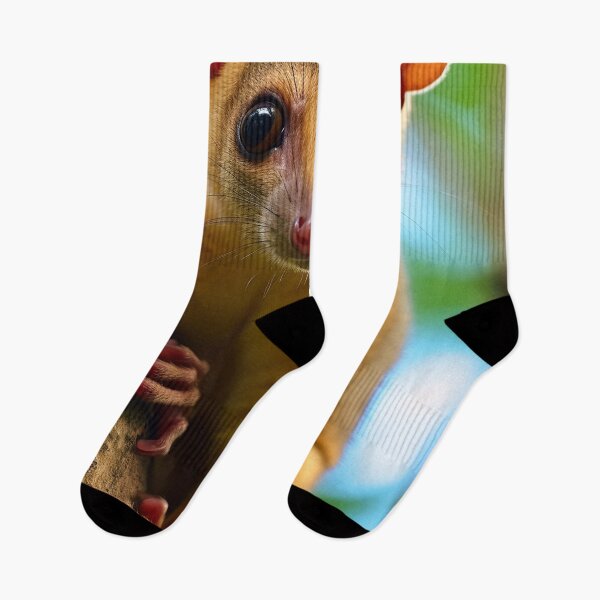 Item preview, Kinkajou designed and sold by DigitizedArt.