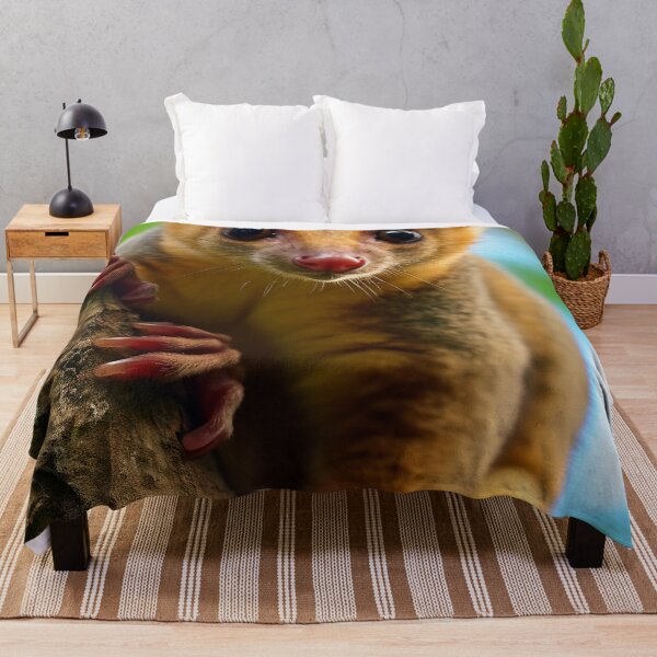 Item preview, Kinkajou designed and sold by DigitizedArt.