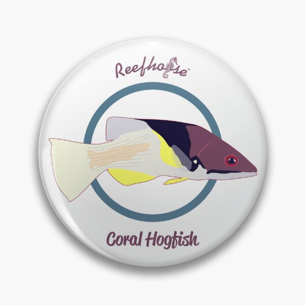 Item preview, Coral Hogfish designed and sold by KaplanCrypto.