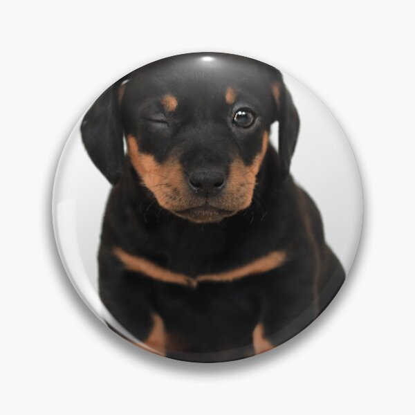 Item preview, Cute dog designed and sold by Staylbender.