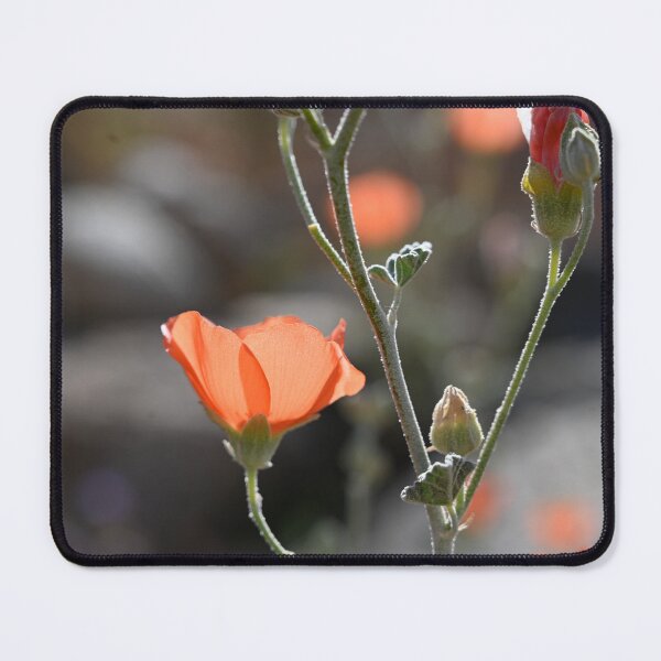 Item preview, Mallow Flowers designed and sold by AriArch.