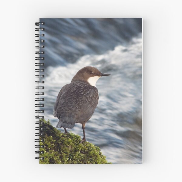Item preview, Dipper designed and sold by Jamie  Green.