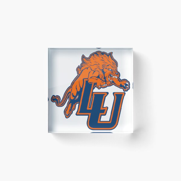 Item preview, Lincoln PA University designed and sold by Broom Hill .