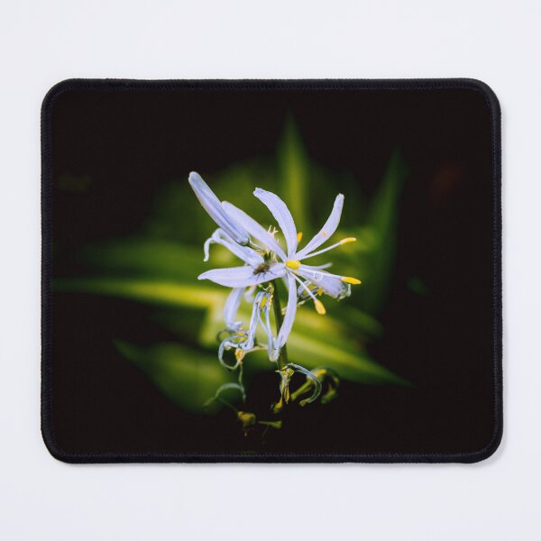 Item preview, Polinate. designed and sold by amak.