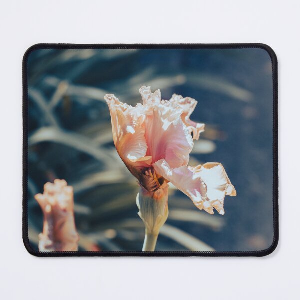 Item preview, Dry designed and sold by amak.