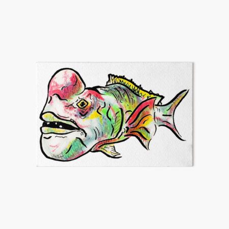 Sheepshead Fish Wall Art for Sale