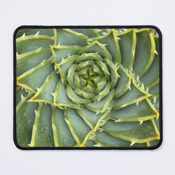 Item preview, Spiky Succulent  designed and sold by AmazedGrace.
