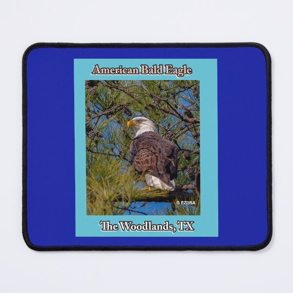 Item preview, The Perfect Gift For A Bird Lover: American Bald Eagle In The Woodlands, Texas. America's National Bird, Eagle Nesting. designed and sold by MoreEZUSA-Here.