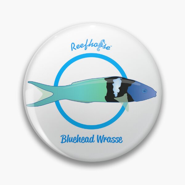 Item preview, Bluehead Wrasse designed and sold by KaplanCrypto.