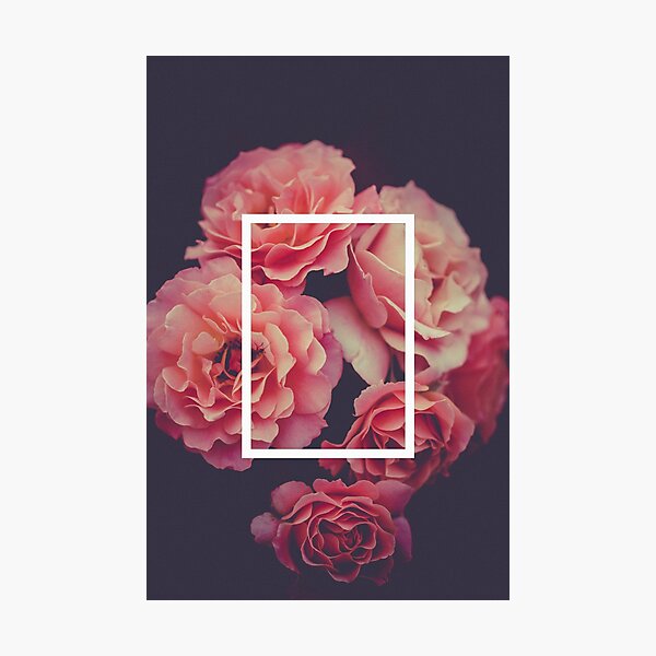The 1975 Floral Rectangle Photographic Print
