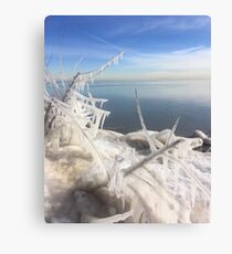 Icy Walk Canvas Print