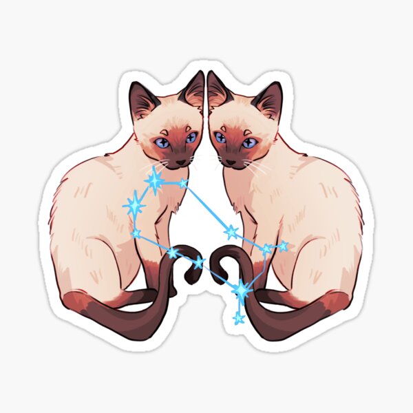gemini cats Sticker