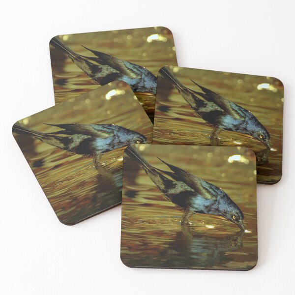 Item preview, Grackle Bird Drinking From a Fountain  designed and sold by K D Graves Photography.