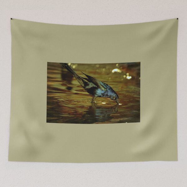 Item preview, Grackle Bird Drinking From a Fountain  designed and sold by K D Graves Photography.