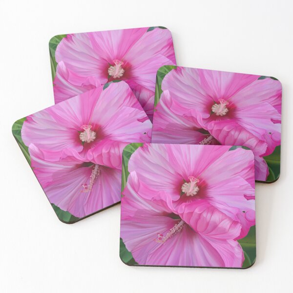 Item preview, Hibiscus flowers in Colorado summer designed and sold by SkyBloomDesigns.