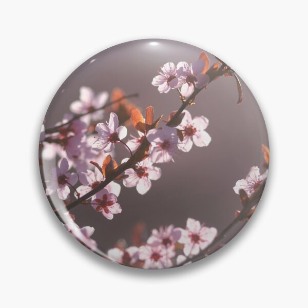 Item preview, Cherry Tree Blooms in the Sun designed and sold by Votawgrapher.