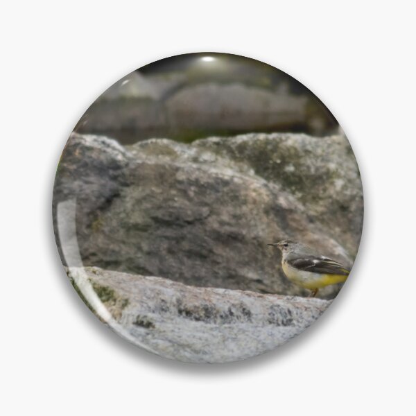 Item preview, Grey wagtail on the rocks designed and sold by Jouko Lehto Photography.