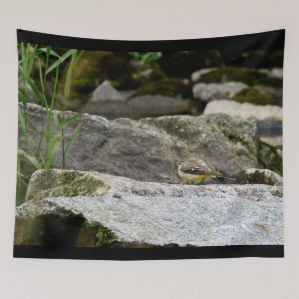 Item preview, Grey wagtail on the rocks designed and sold by Jouko Lehto Photography.