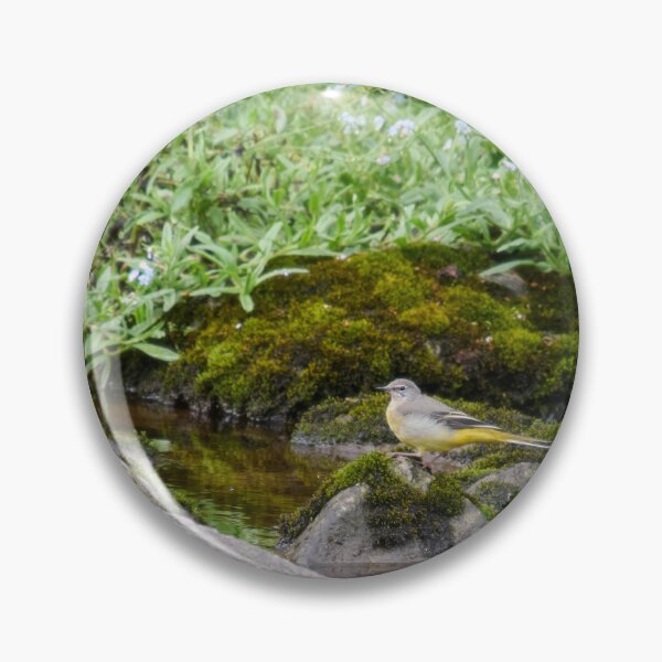 Item preview, Forget me not. Grey wagtail designed and sold by Jouko Lehto Photography.