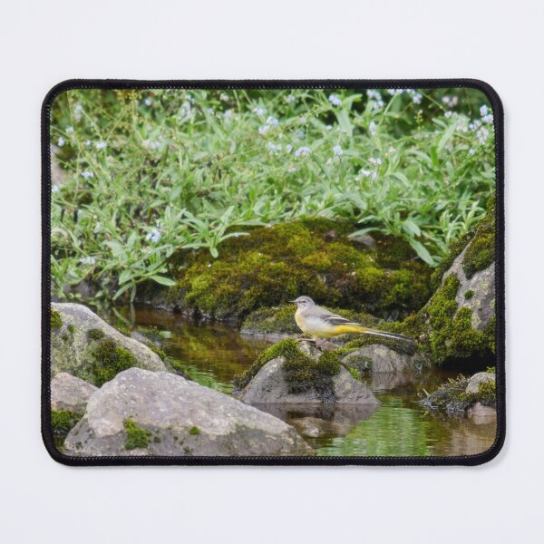 Item preview, Forget me not. Grey wagtail designed and sold by Jouko Lehto Photography.